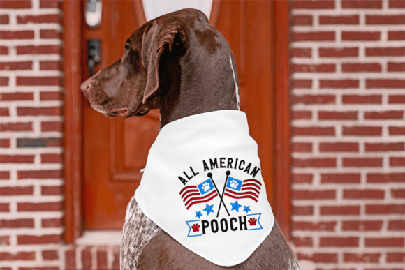 All American Pooch