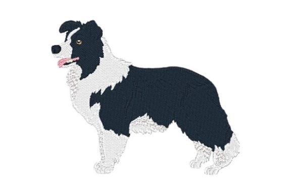 Border Collie-0410 Embroidery Design Review