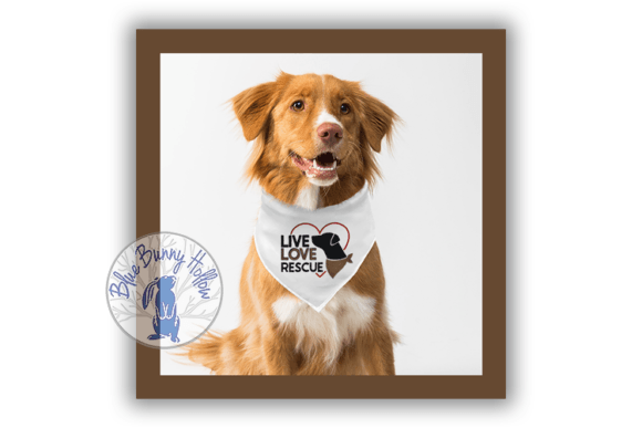 Live Love Rescue